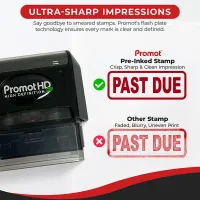 Past Due Ink Stamp – Pre Inked Business Stamp for Invoices & Documents